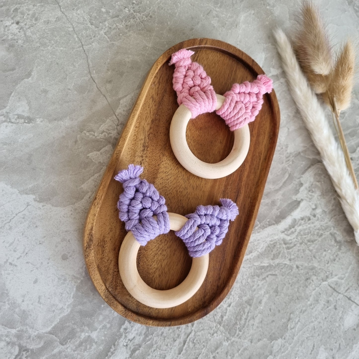 Anneau dentition Chat